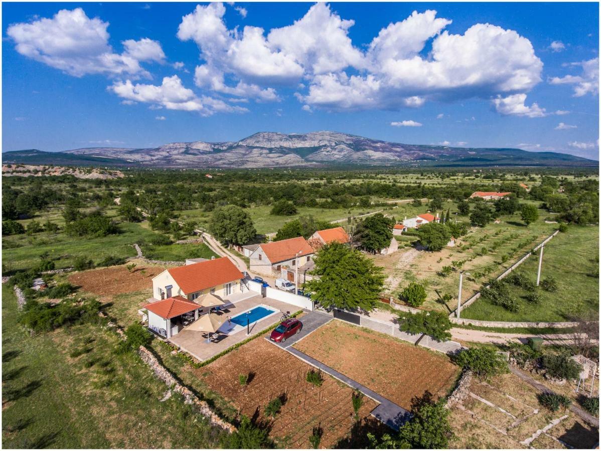 Отель House Mellifera Razvode Экстерьер фото