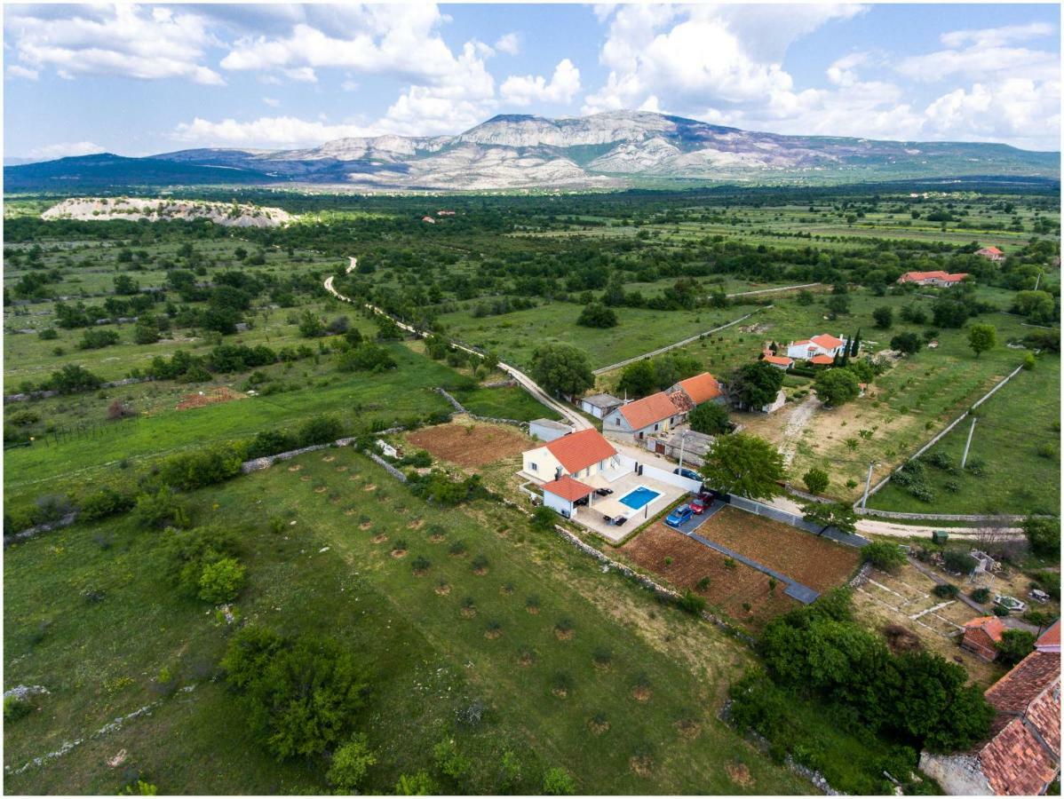 Отель House Mellifera Razvode Экстерьер фото